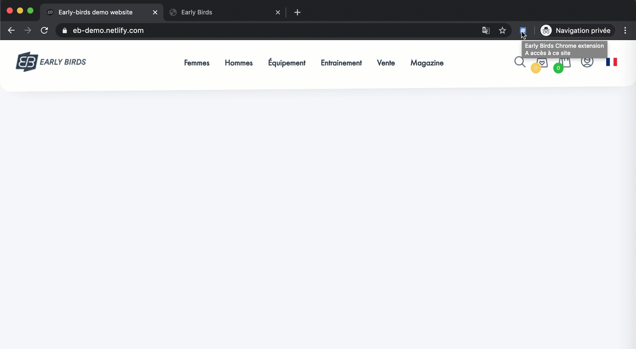 Ext_1.gif