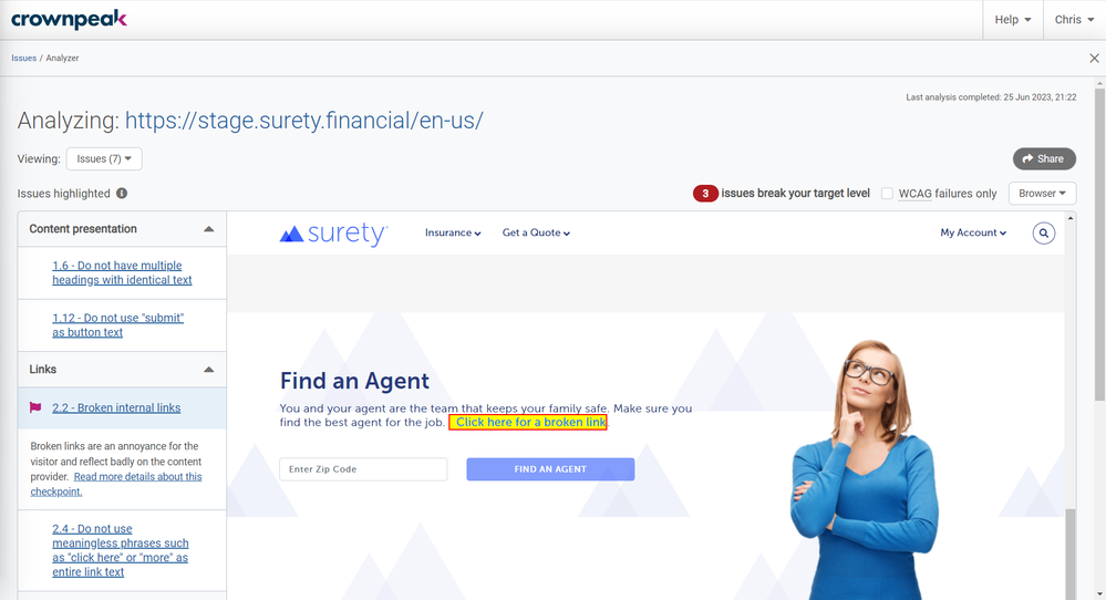 Website Insights _ Issues Analyzer 1 _ Crownpeak DQM.png