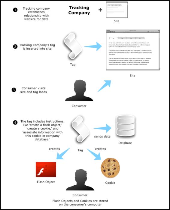 TagAuditorKeyConcepts1.PNG