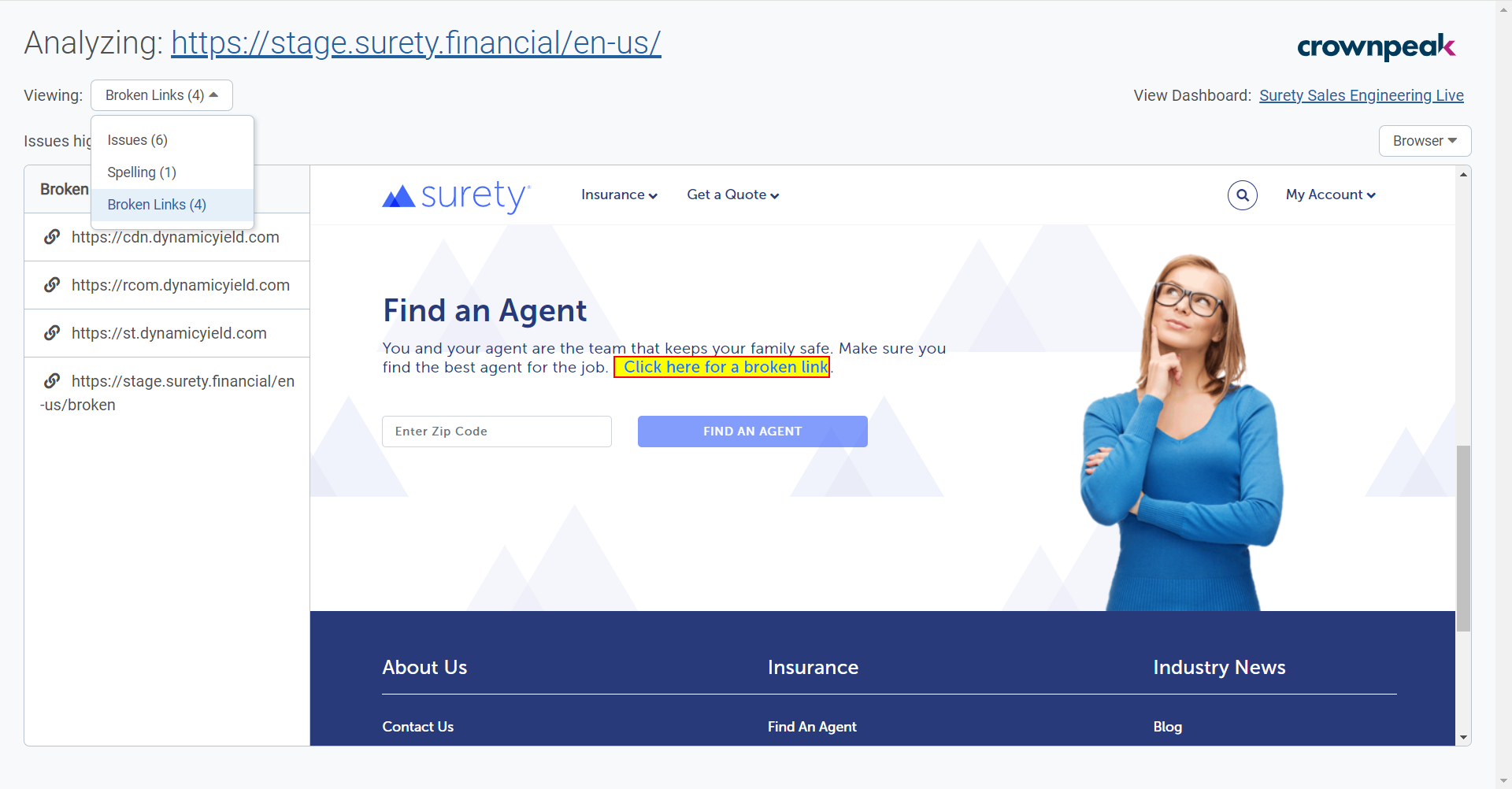 Page Checker 6 _ Crownpeak DQM.png