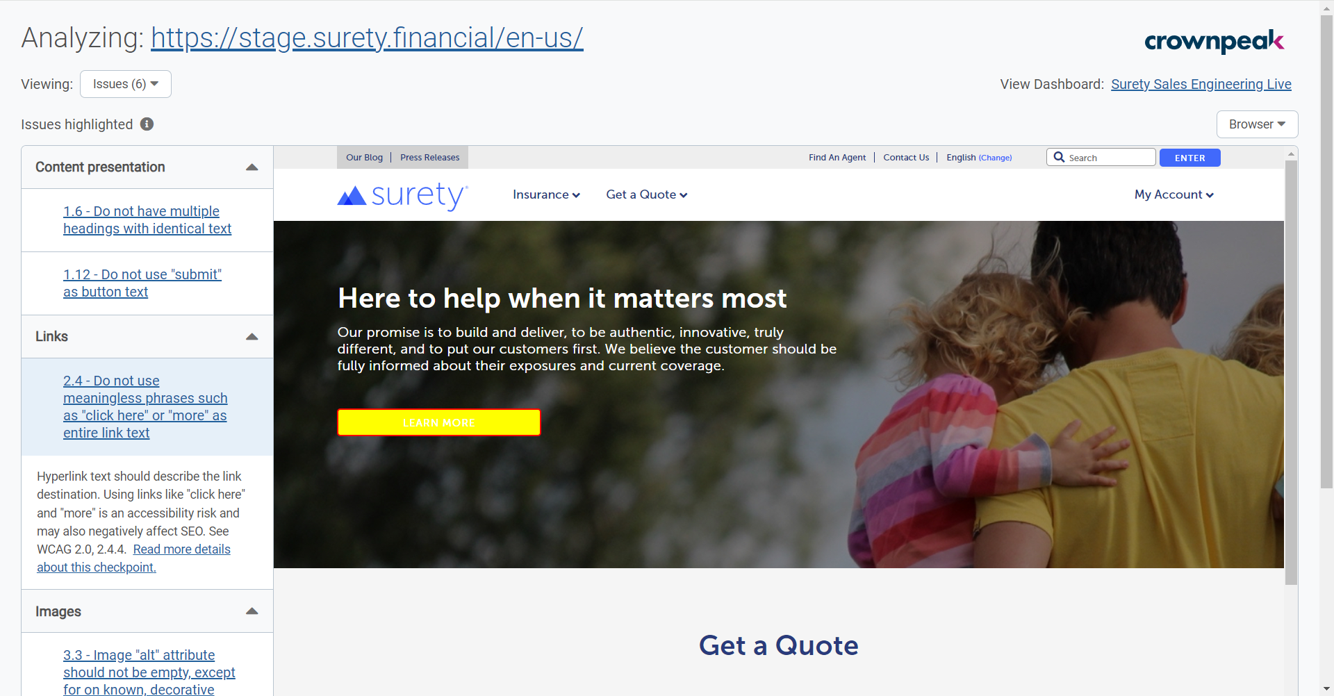 Page Checker 2 _ Crownpeak DQM.png